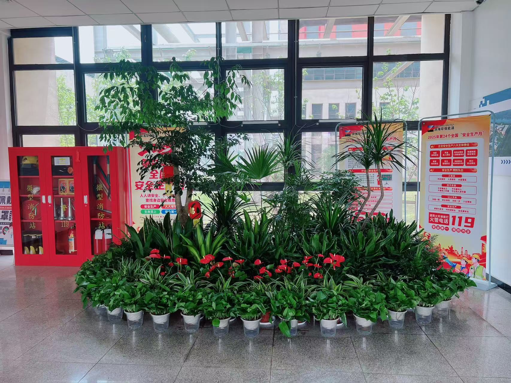 深度解析宁波余姚绿植租赁设计的巧妙之处><div class=